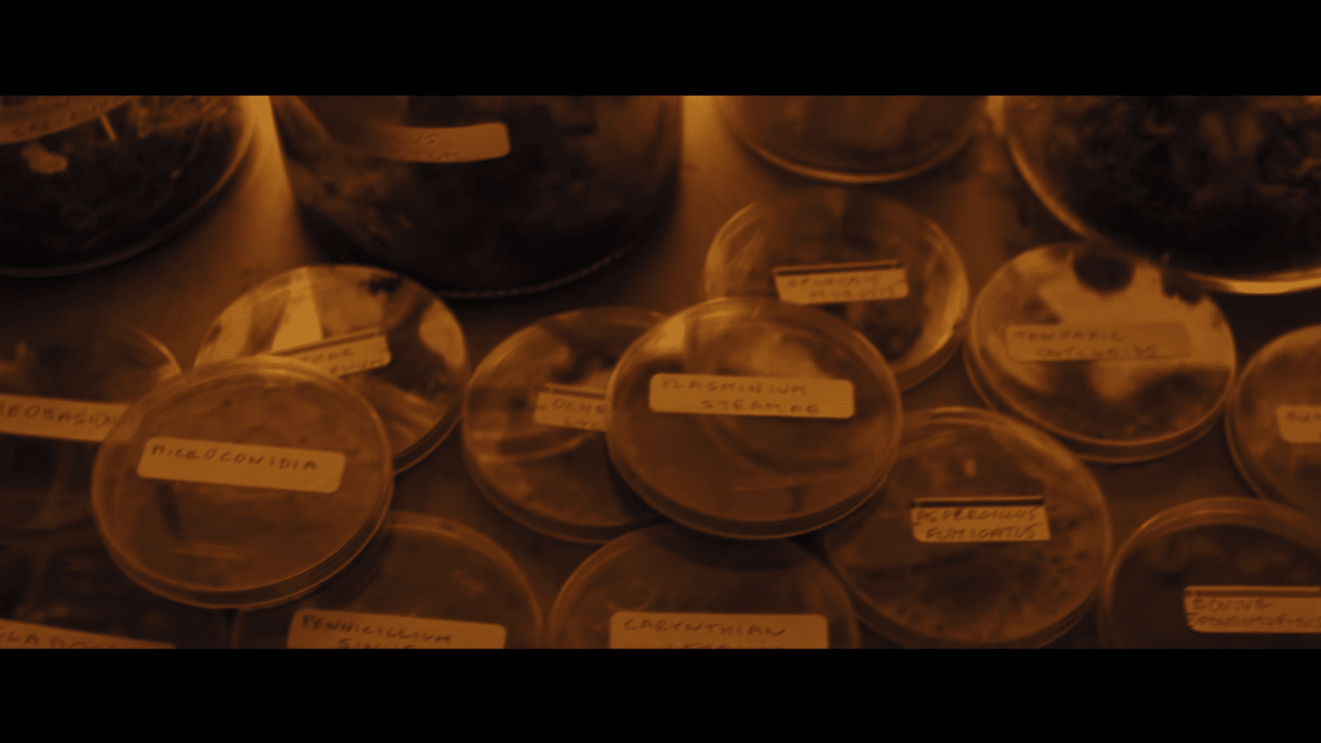 „Ghostbusters: Afterlife” – bohaterowie filmu na zdjęciach z pierwszego zwiastuna