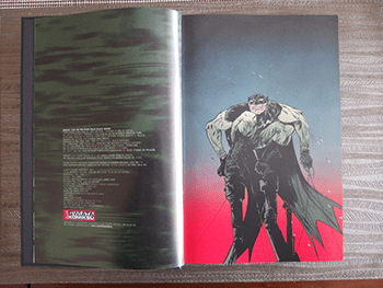 Batman: Rok setny i inne opowieści komiks