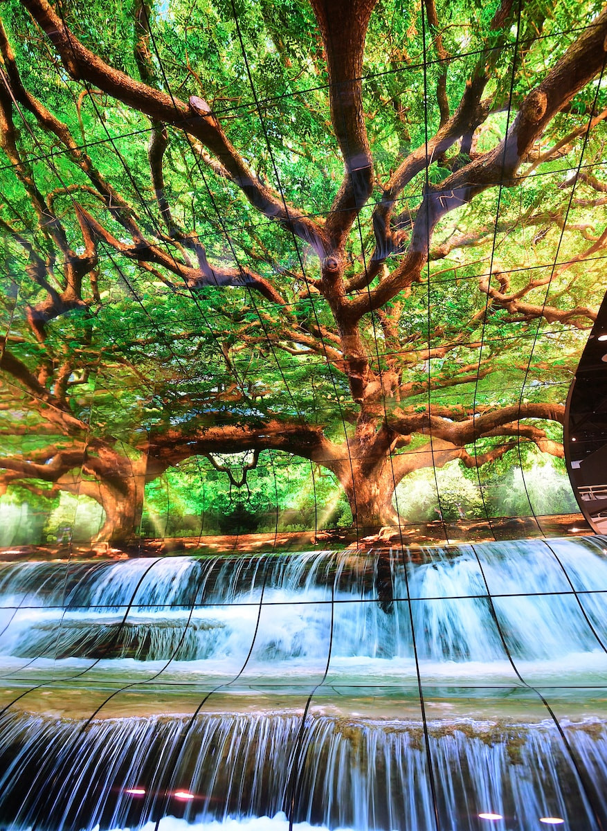 Open Frame OLED display-min.jpg