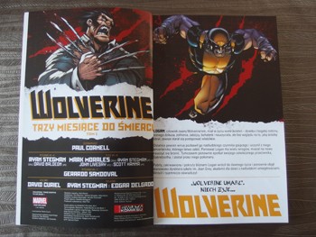 Wolverine: Trzy miesiące do śmierci
