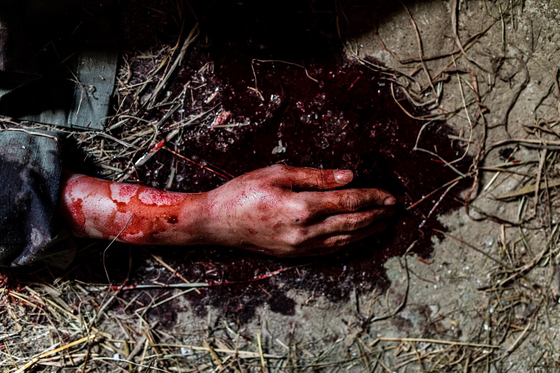 W lesie dziś nie zaśnie nikt_fot. Michał Chojnacki, Akson Studio (1).jpg