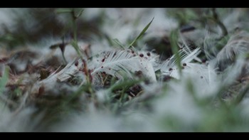 „Czarnobyl” (2019) – recenzja serialu i wydania Blu-ray [steelbook]. Donośne echo krzyku