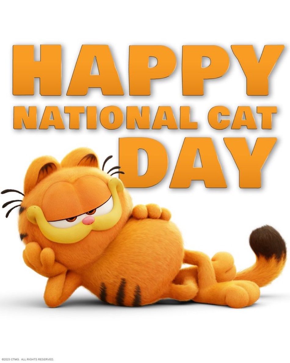 Garfield nowa grafika.JPG