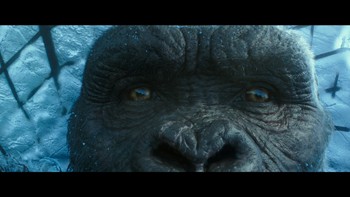 „Godzilla vs. Kong” – recenzja filmu i wydania Blu-ray. Potworny double feature