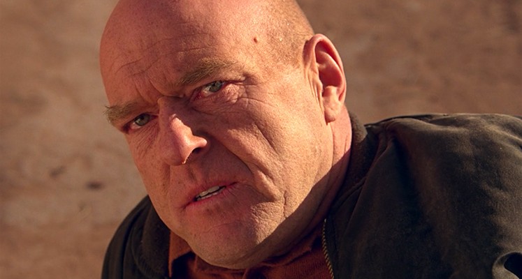 hank-breaking-bad-smierc-ozymandiasz.jpg