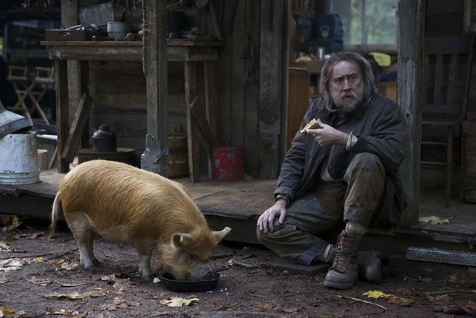 Świnia Nicolas Cage