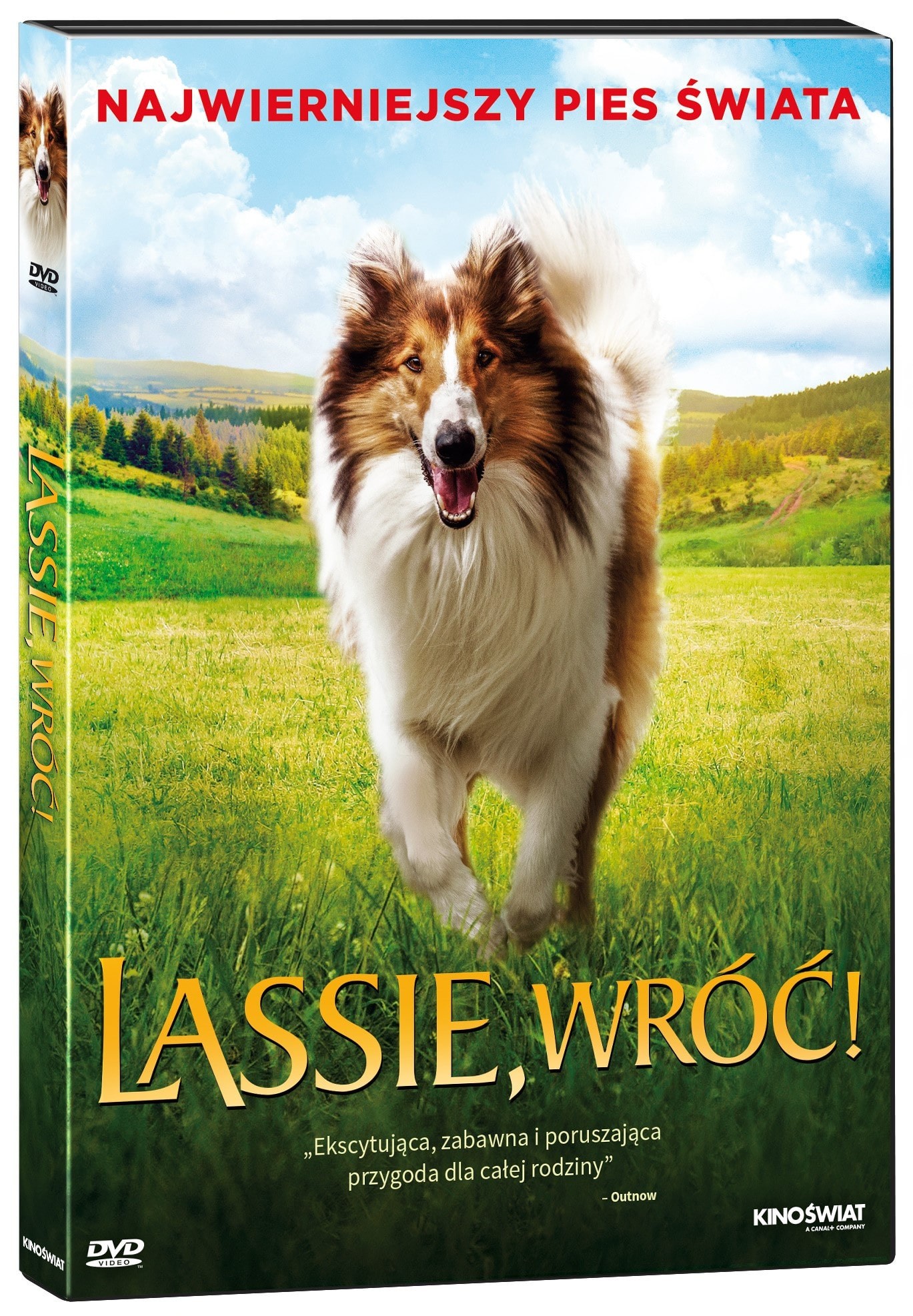 Lassie wróc wydanie DVD