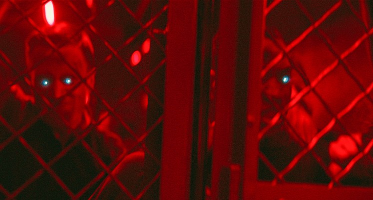 mother android nowe 1.jpg