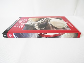 Superbohaterowie Marvela#39: Silver Surfer