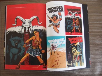 Wonder Woman Tom 3. Żelazo