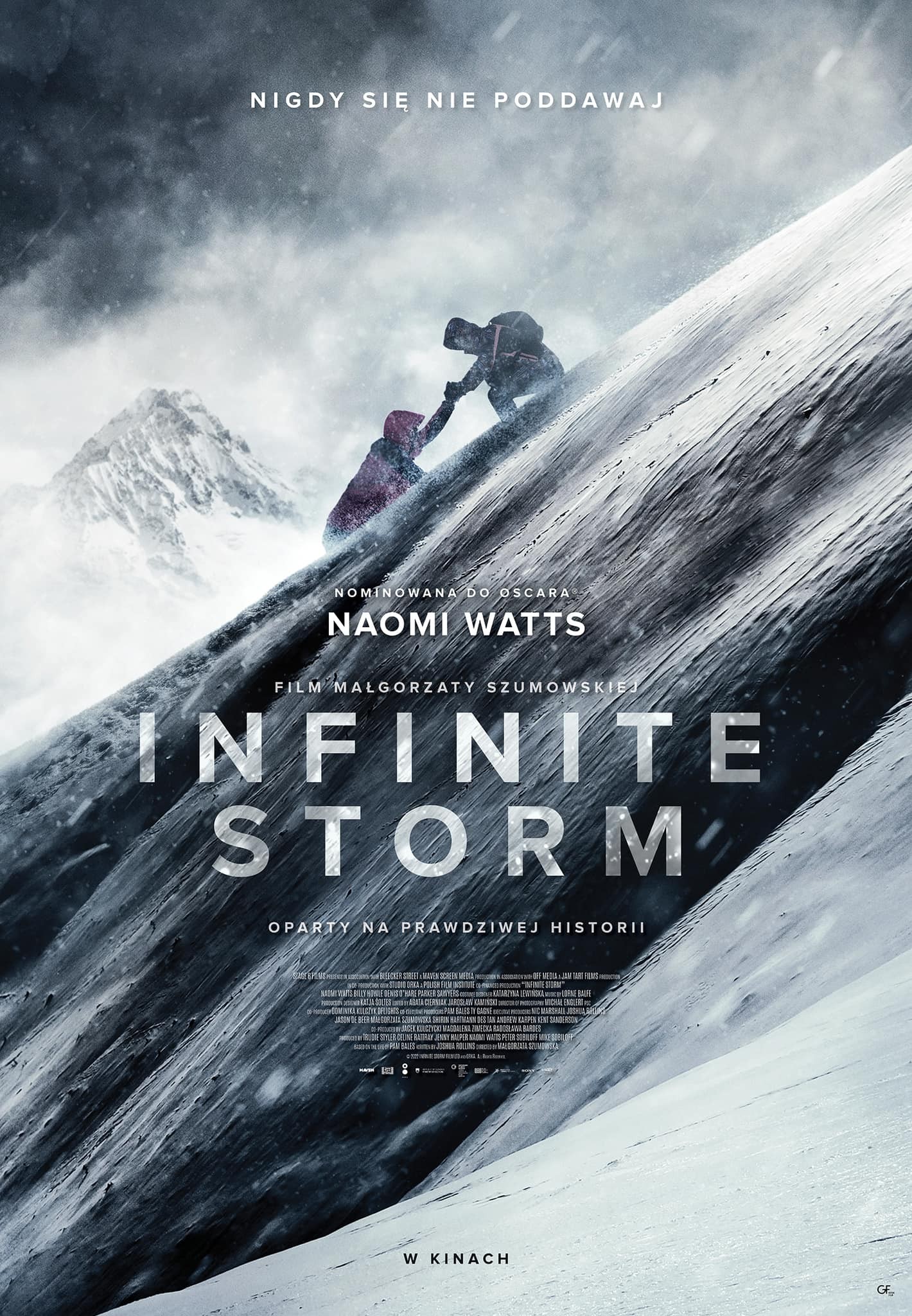 plakat do filmu Infinite Storm Gutek Film.jpg