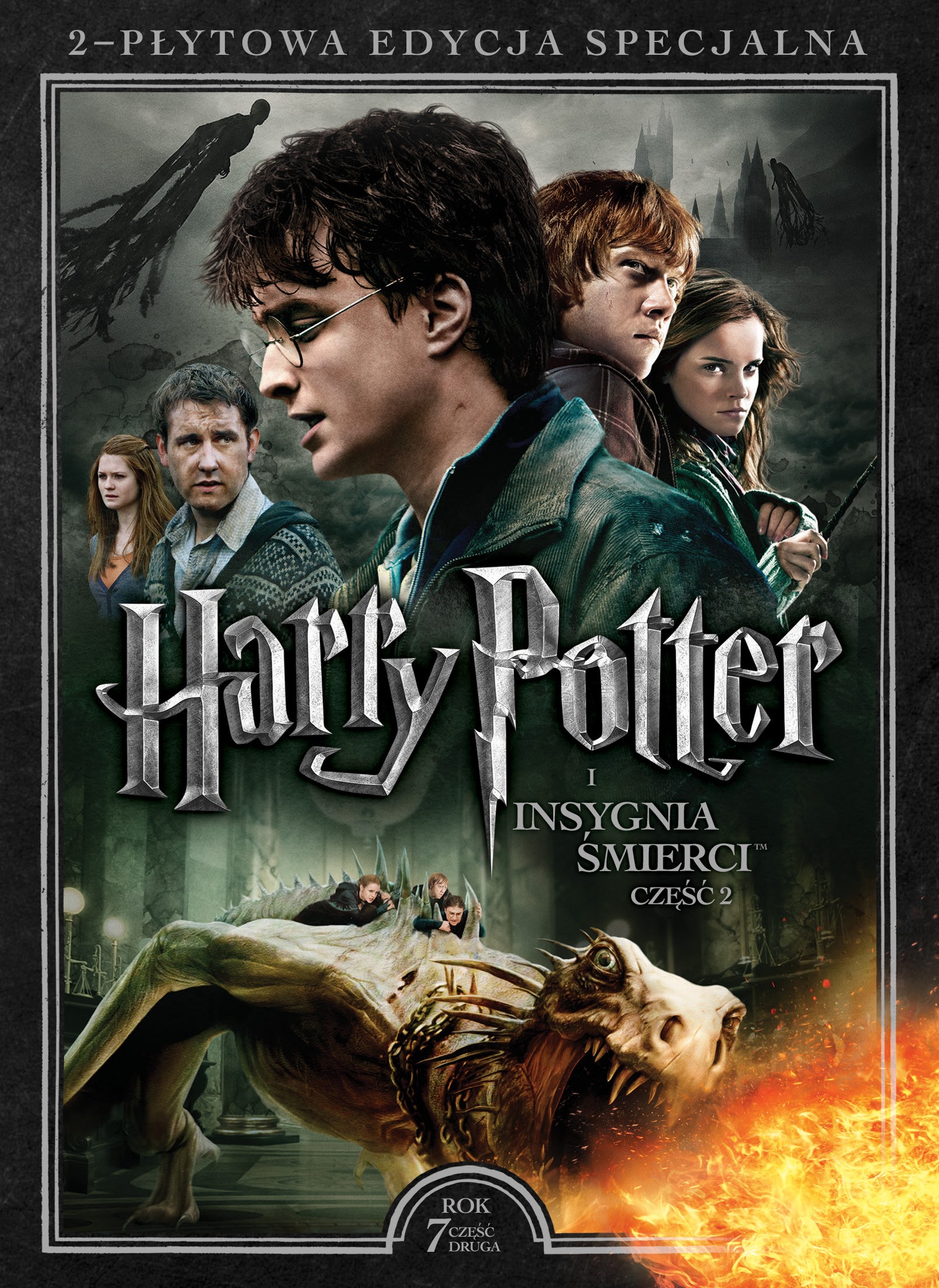 _pressroom_materialy_0_Harry_Potter7B_DVD_2D.jpg