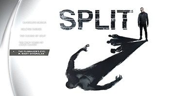 split_01.jpg