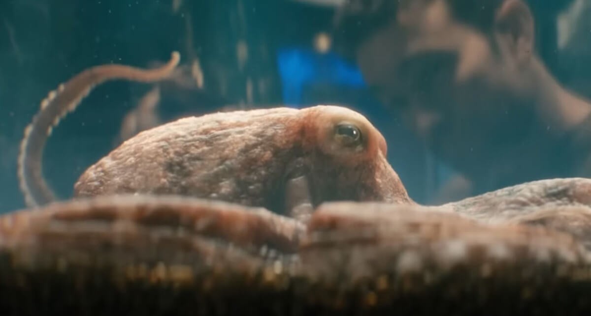 The boys sezon 4 osmiornica