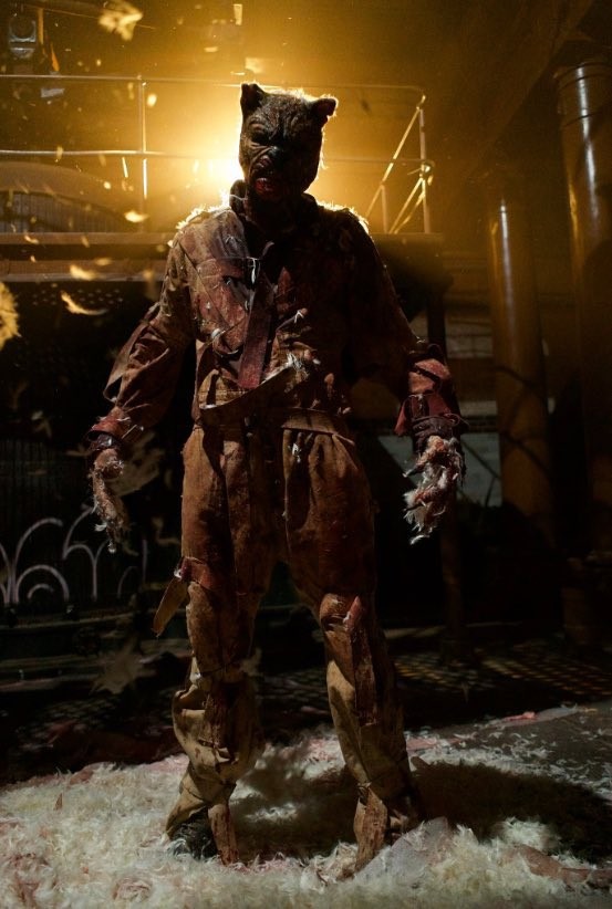 Tygrysek Krew i miód 2 nowa fotka.JPG